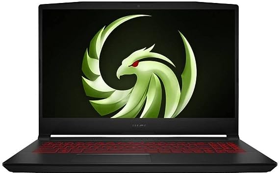 MSI 4GB Graphics Laptop
