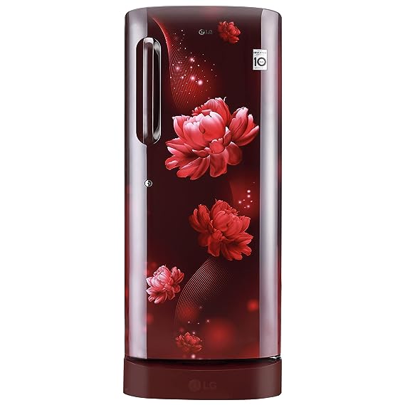 LG 224 L 4 Star Inverter Direct